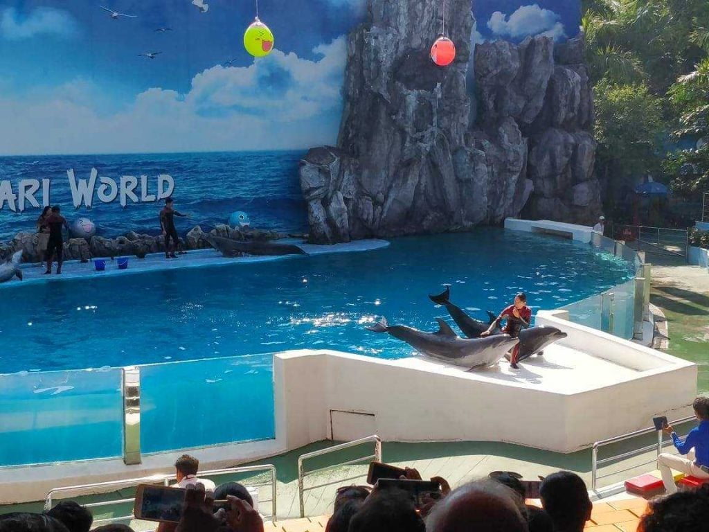 Dolphin show in marine park