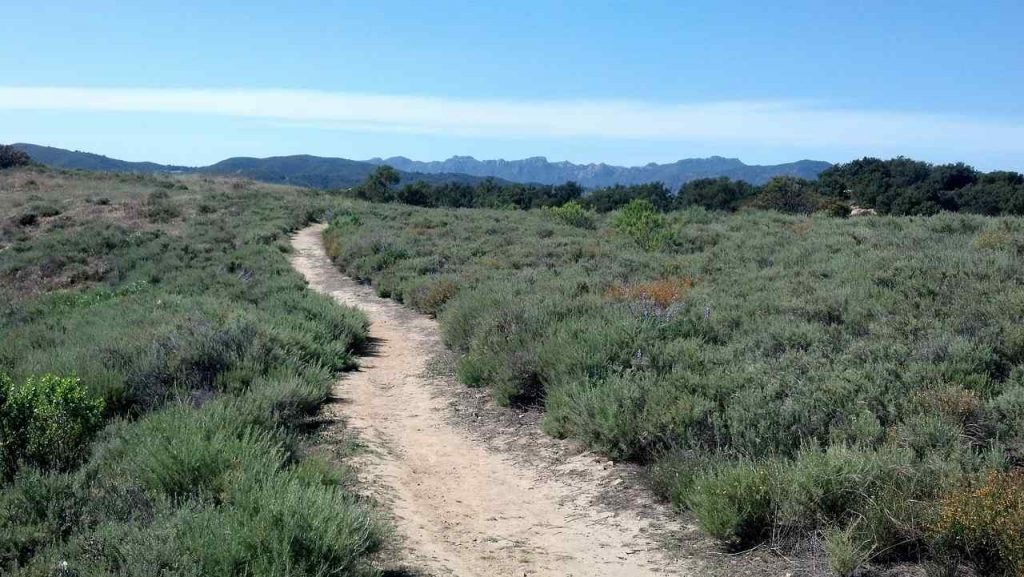 Malibu Hiking Trail | easy hiking trails in southern california