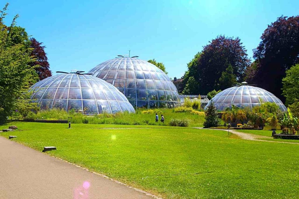University of Zurich - Botanical Garden | best things to do in zurich
