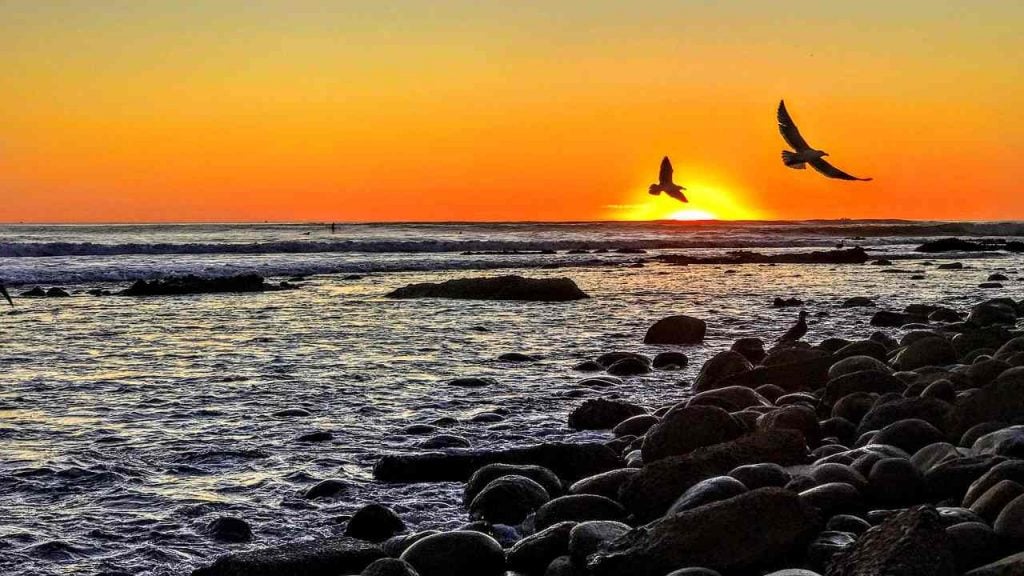 free things to do in san diego | Sunset at La Jolla Cove