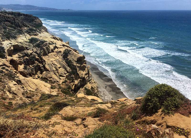 things to do in san diego for cheap | Torrey Pines State Natural Reserve