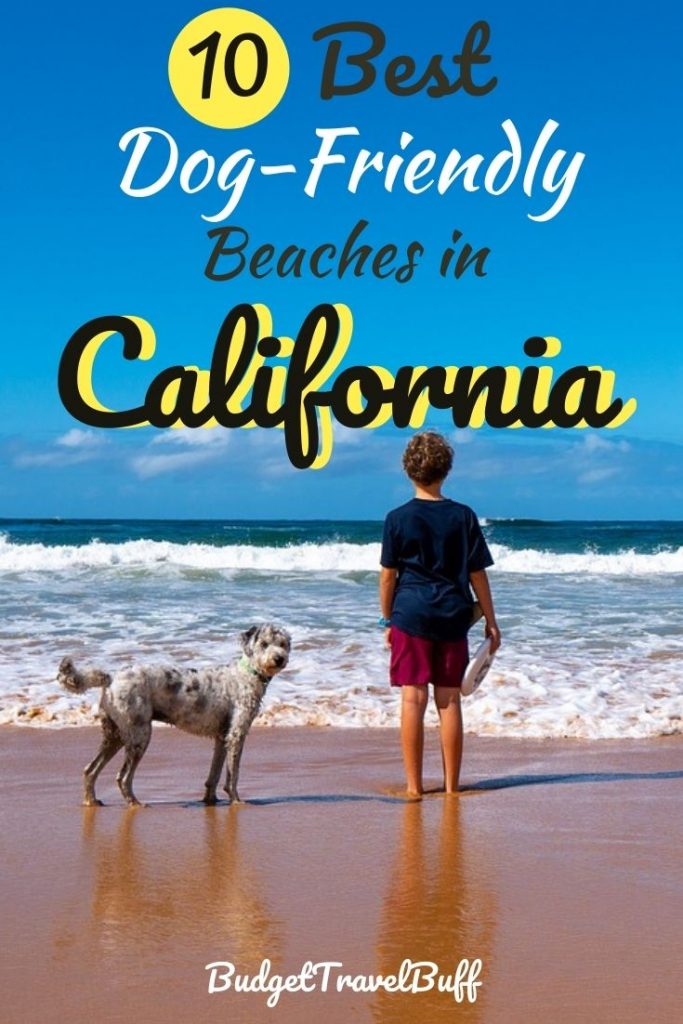 best dog beaches in California