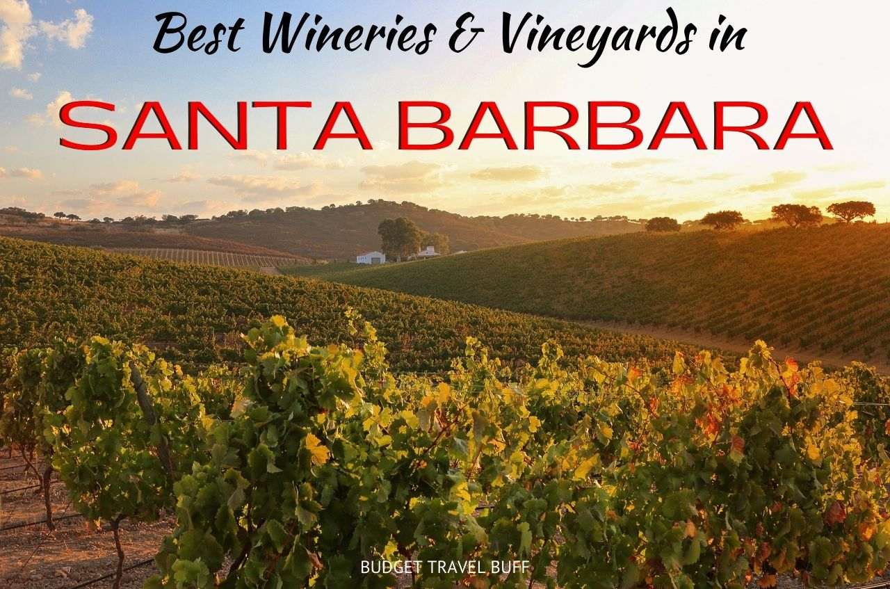 best wineries in santa barbara county