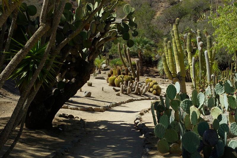 Best Botanical Gardens in California | Wrigley Memorial & Botanic Garden