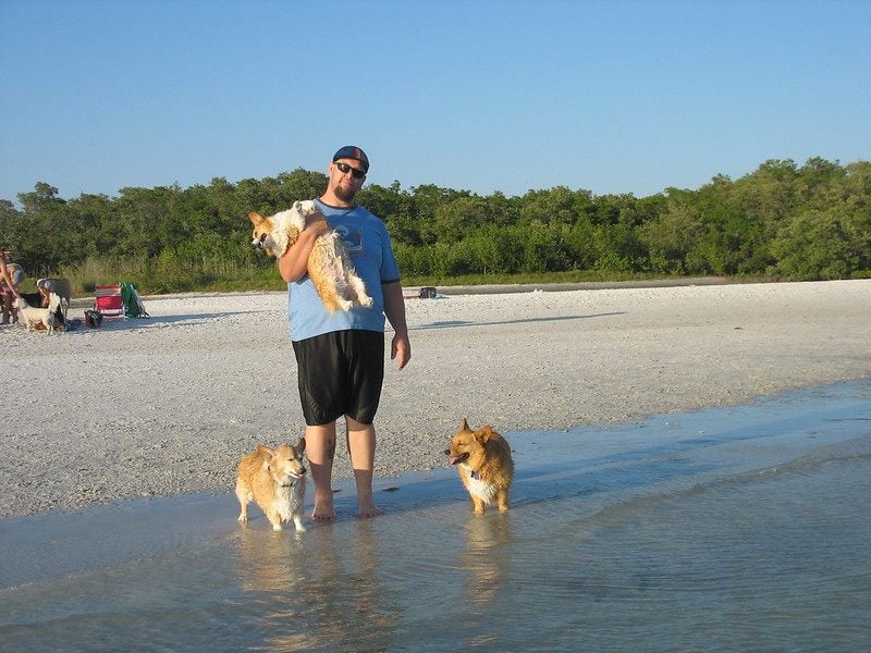 best Dog-friendly beaches in Florida | Bonita Beach Dog Park