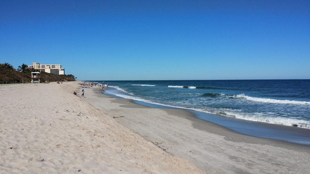 dog-friendly beach in Florida | Jupiter Beach, Florida