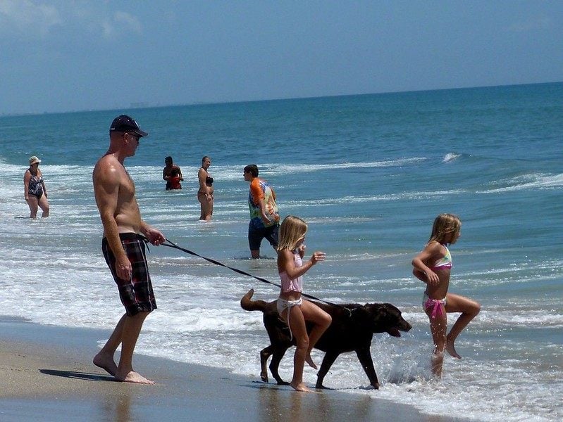 Canova Dog Beach