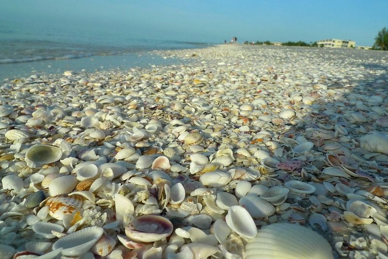 Romantic Florida Getaways | Seashells in Sanibel Island
