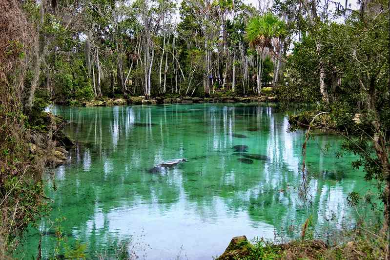 Three Sister Springs in Florida - Crystal River