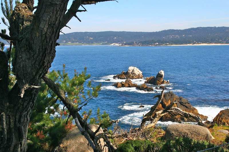 best things to do in Carmel | Point Lobos State Reserve