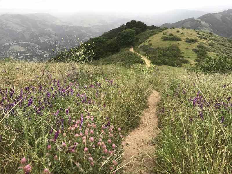 hikes near Carmel Valley