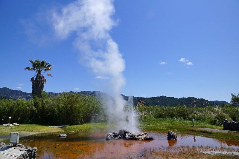Old Faithful Geyser of California | Calistoga geyser