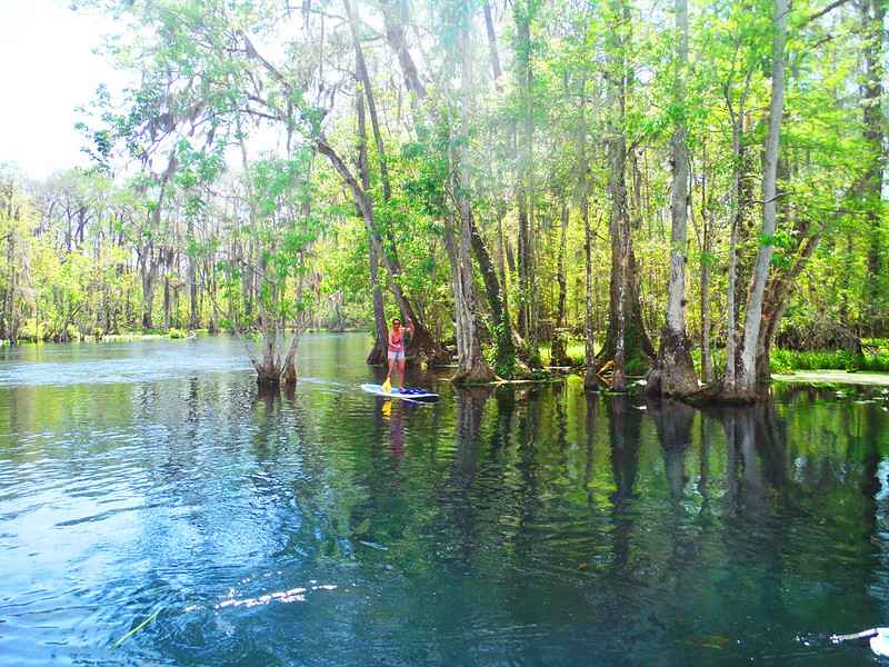 Best springs near Tampa, Florida | Silver Springs
