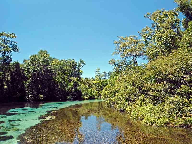 Weeki Wachee Springs | best natural springs in Tampa