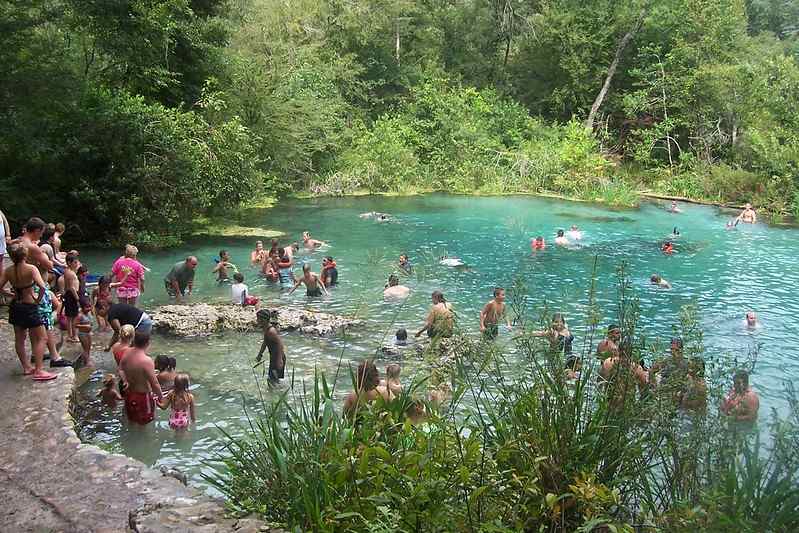 Best springs near Tampa | Ichetucknee Springs