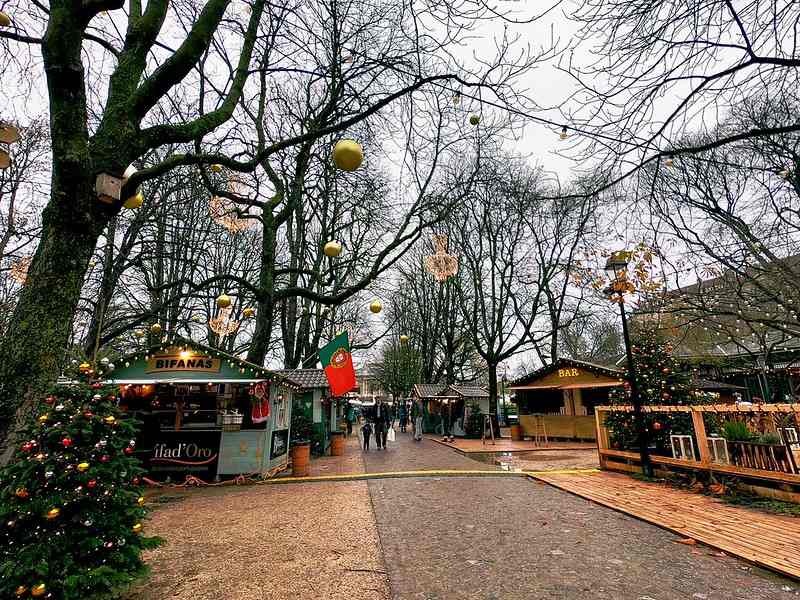  Christmas Market in Geneva