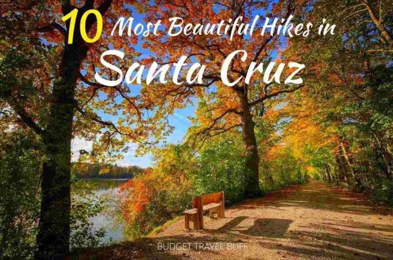 10 Amazing Hikes in Santa Cruz, California for Cherishing Memories