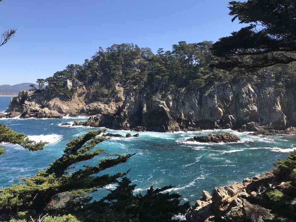Big Sur Road Trip Itinerary | Point Lobos State Natural Reserve