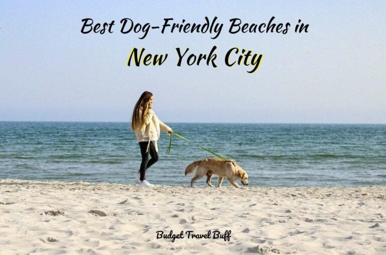 9 Best Dog-Friendly Beaches In NYC: Pet-Friendly Vacation