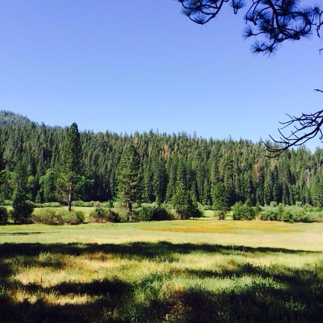 Wawona Meadow Loop, dog friendly easy hikes in Yosemite