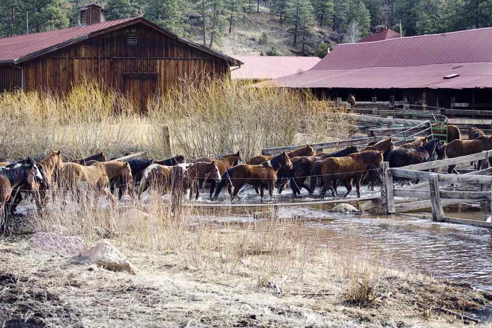 Ranches in Colorado