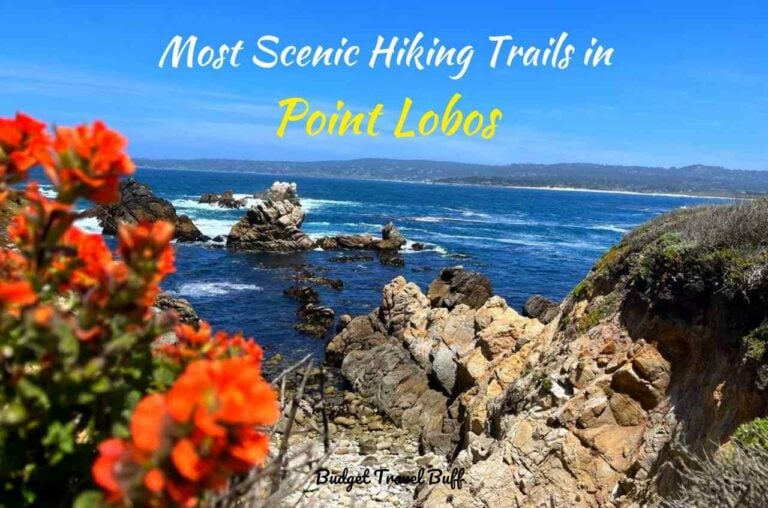 8 Best Point Lobos Hiking Trails: Serene & Stunning