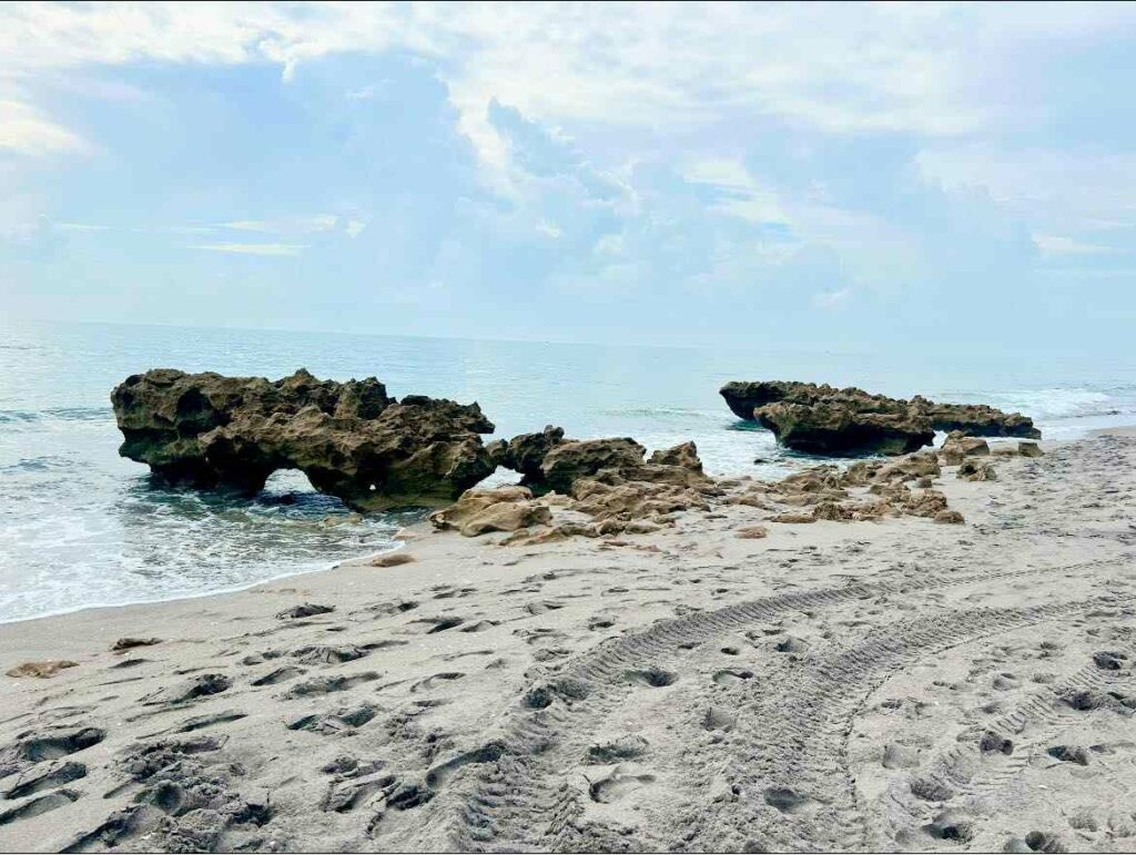coral cove park, secluded tide pools in florida