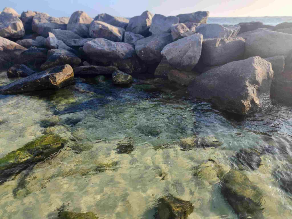 Norriego Point, best tide pools in florida