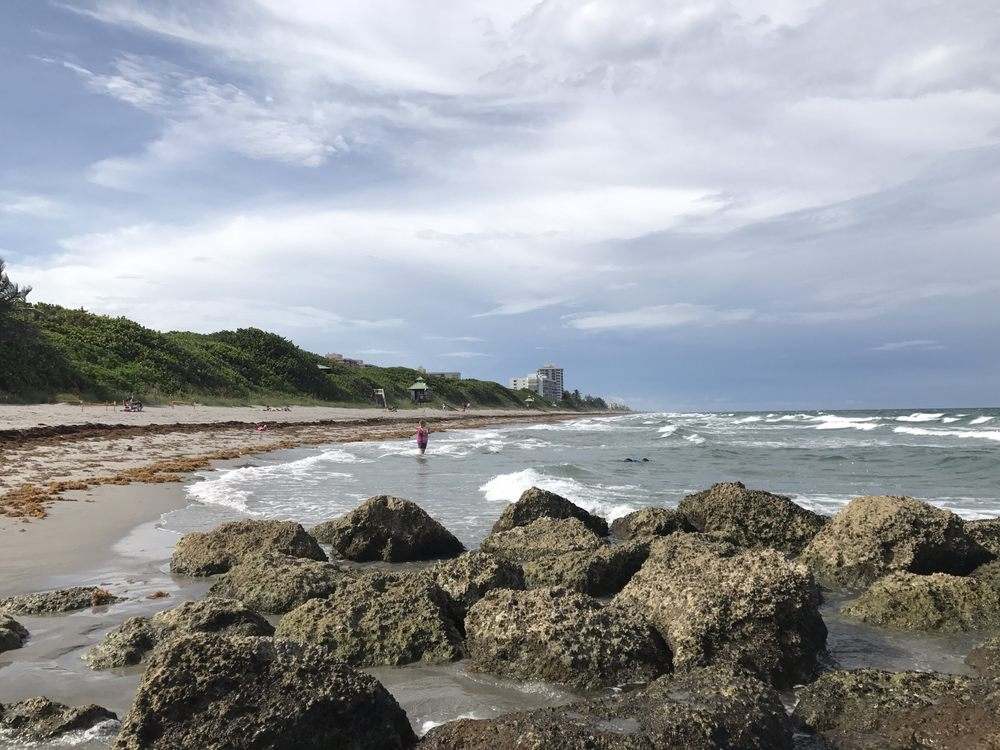red reef park, tide pools for kids in florida